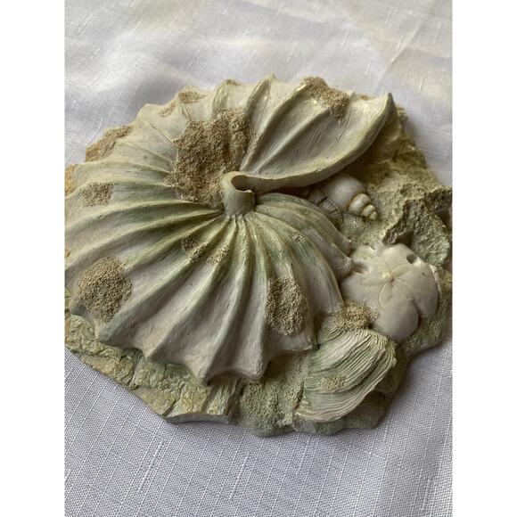 Set of 3 Sea Shell Wall Art 3-D, rough sand-like plaster or resin Apx 7-8" EUC - Picture 13 of 13